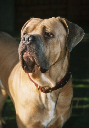 AlbertoHofOK