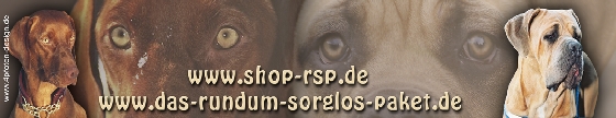 bannerclaudia2