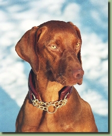 FranziPortrait