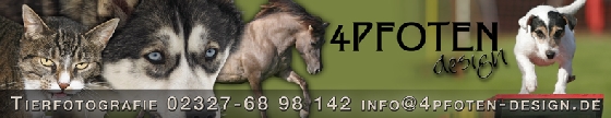 webbannertierfotografie2